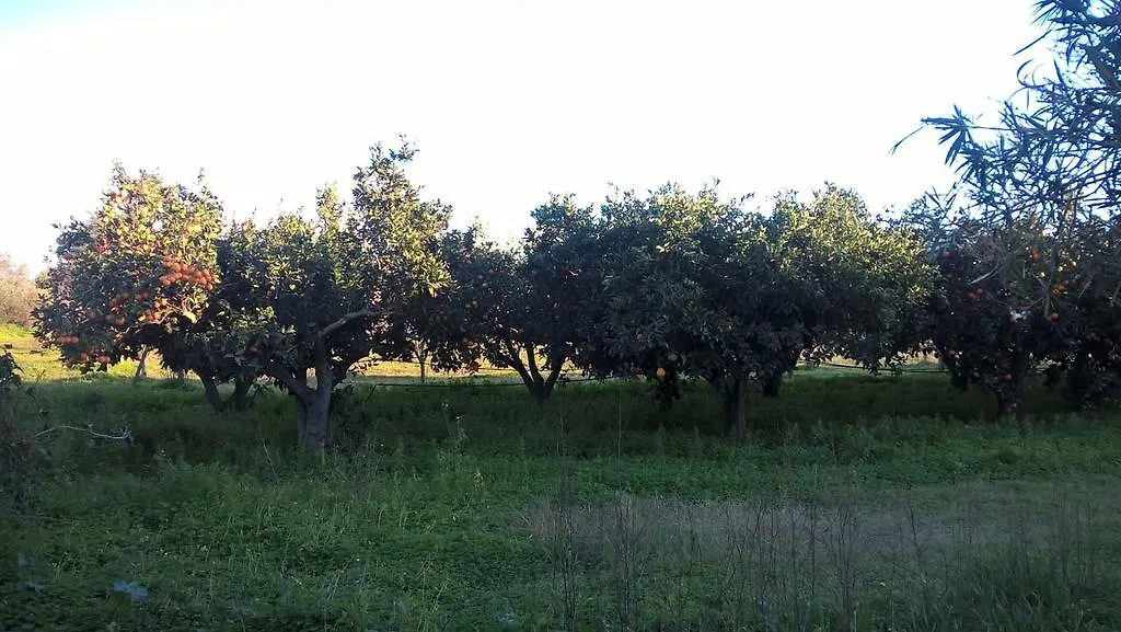 Casa Matilde Villa Orosei